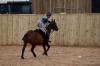 Oxford Polo 2023_01_08 0105